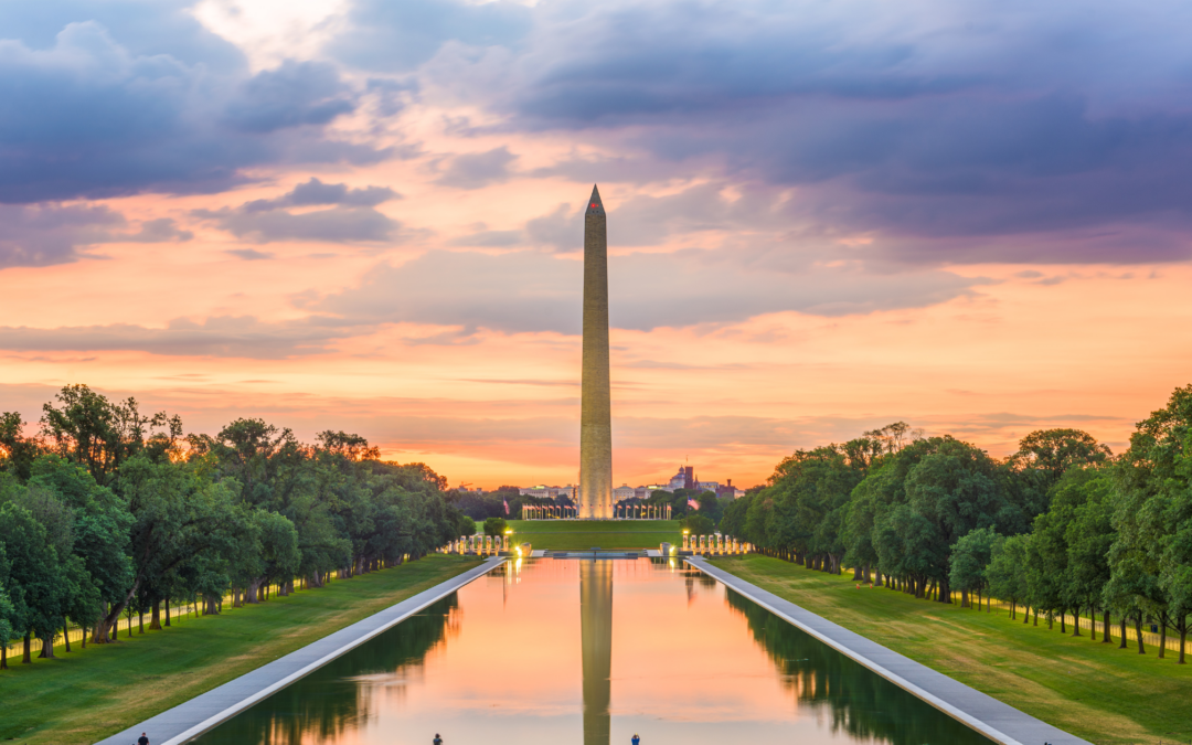 Dreamy DC: The District’s Best Summer Activities