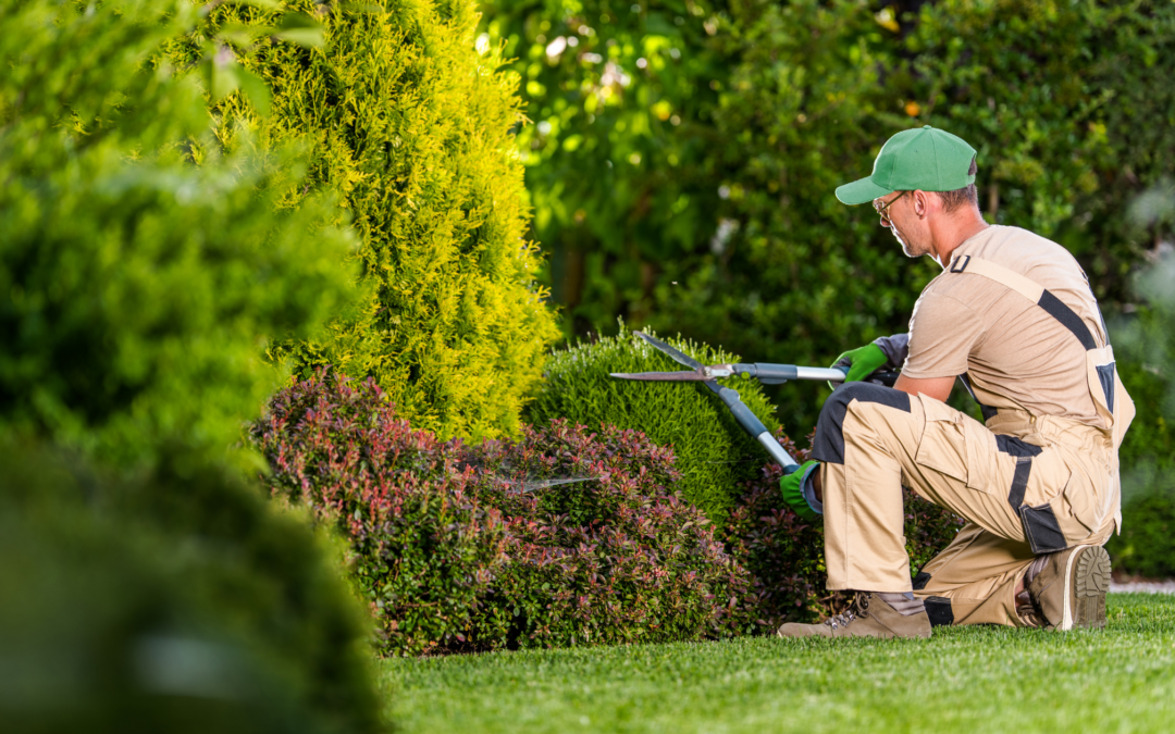 National Homeownership Month: Key Seasonal Tips for a Beautiful and Well-Maintained Home