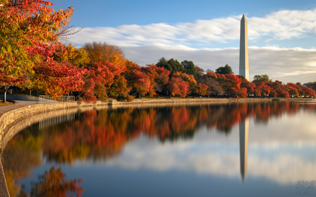 Autumn’s Palette: Your Guide to Fall Foliage in the DMV